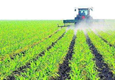 玉米追肥別入誤區(qū)